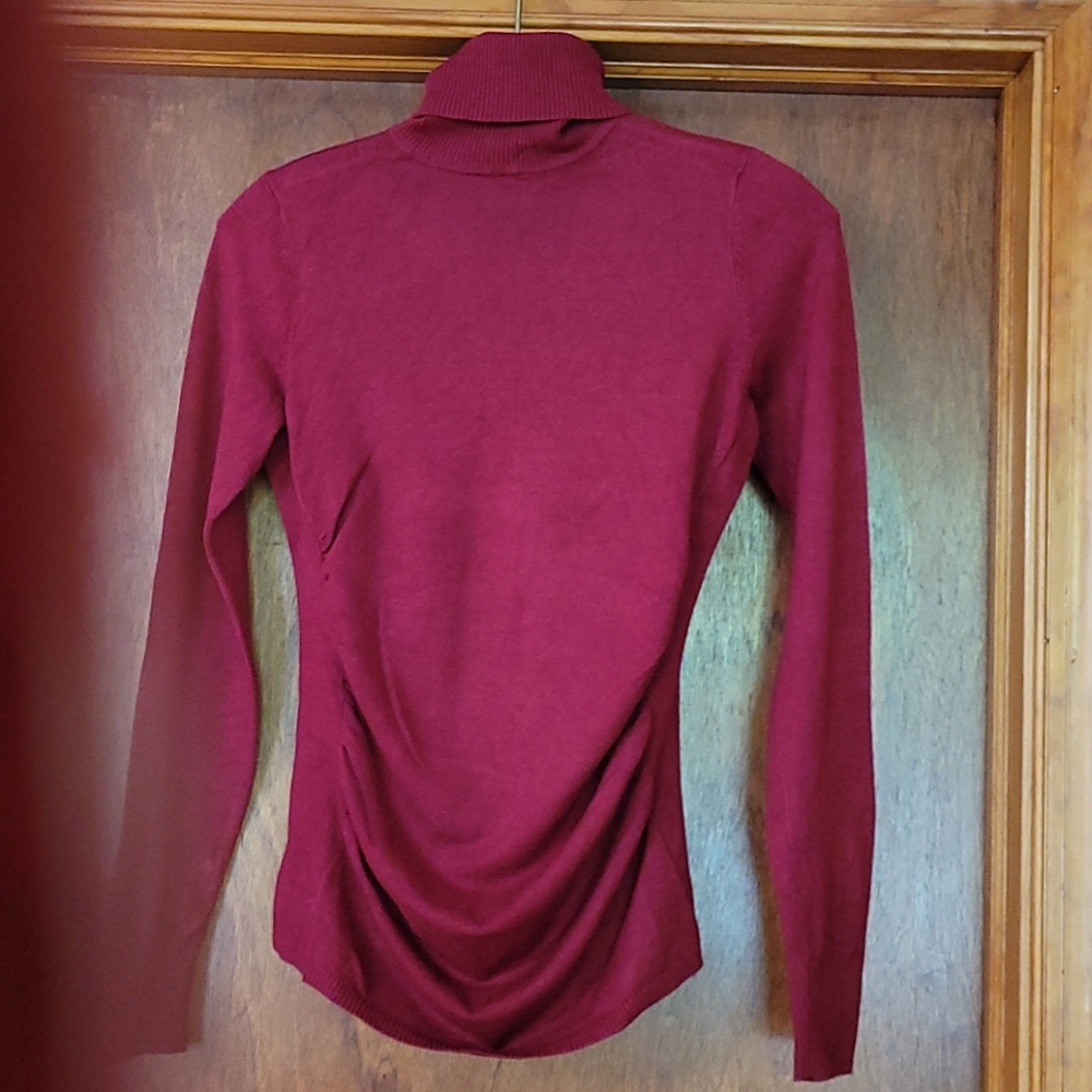 The Limited sweater